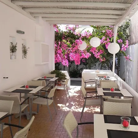Hotel Apollon Boutique